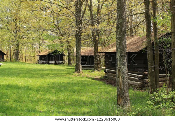 Wooden Cabins Lined Along Tree Line Stock Photo Edit Now 1223616808