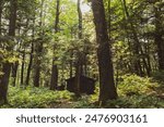 Wooden Cabins at Porcupine Mountain Wilderness State Park, Michigan