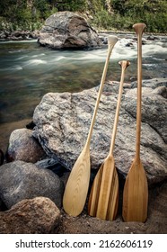 wooden canoe paddles on a rocky shore of mountain river - Cache la Poudre River near Fort Collins, Colorado