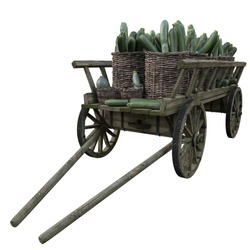 Wooden Cart With Different Zucchini
