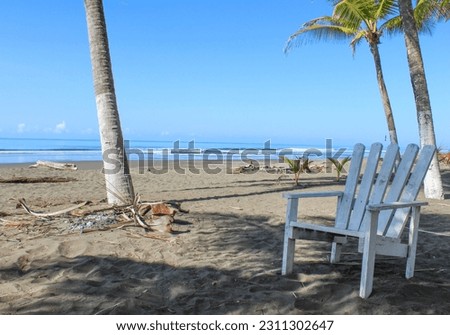 A wooden chair among palm trees on an empty sandy beach of the Pacificocean 