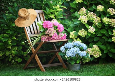 Wooden chair and beautiful hydrangea flowers in the garden