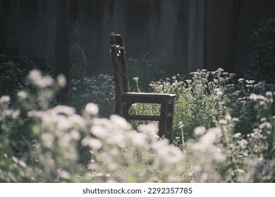 Wooden chair next to daisies in the garden
