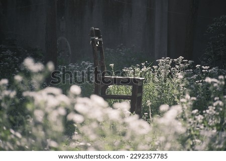Wooden chair next to daisies in the garden