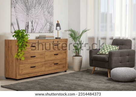 Wooden chest of drawers in modern living room interior