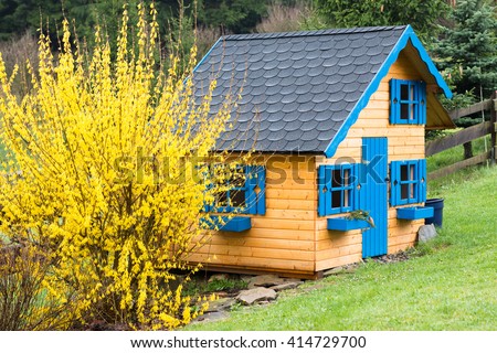 wooden children playhouse with blue windows and black roof in front yellow blooming forsythia in backyard spring garden after rain
