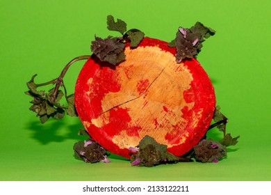 A Wooden Circle Sprinkled With Red Paint With Plants Per Se On A Pastel Green Background