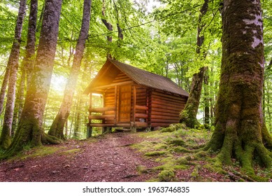 Wooden cottage in the forest near Biogradsko lake in Montenegro - Shutterstock ID 1963746835
