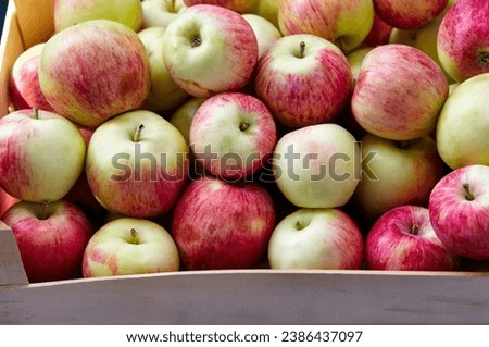 Wooden crate box full of fresh apples. Overhead view of fresh organic apples harvesting concept