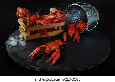 Wooden crate and bucket of red lobsters with ice on black background