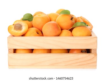 Wooden crate of delicious ripe sweet apricots isolated on white - Powered by Shutterstock