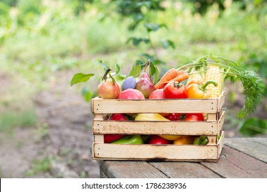 Wooden crate of fresh farm vegetables and fruit on rustic table outdoors. Eco food concept