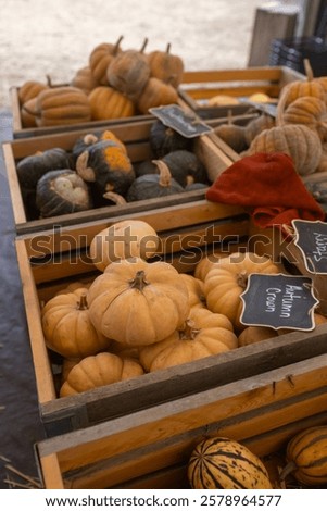 Similar – Image, Stock Photo Various squashes and autumnal leaves on table