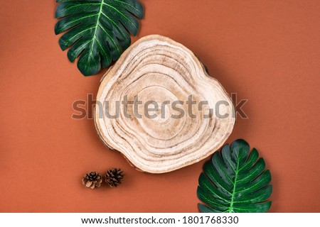 Wooden cross section cut with monstera leaves on brown surface. Showcase for cosmetic products. Natural organic eco-friendly beauty product concept. Overhead view, mockup. Product advertisement