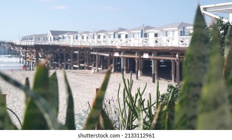 Wooden Crystal pier and white cottages, California ocean beach, USA. Summer vacation beachfront houses on Mission beach, San Diego shore. White homes and bids flying, waterfront bungalows on sea coast