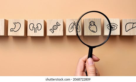 Wooden cubes with the image of medical icons: heart, eye, stomach, kidneys, lungs, liver, dna. The symbol of the diagnosis of diseases
 - Powered by Shutterstock