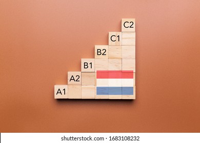 Wooden cubes with language levels, concept of learning and improvement. Dutch language