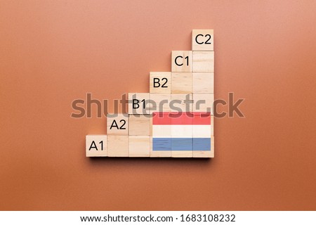 Wooden cubes with language levels, concept of learning and improvement. Dutch language