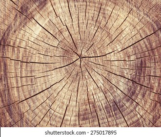 Wooden cut texture, tree rings