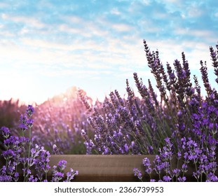 Wooden deck among blooming lavender field. Space for text - Powered by Shutterstock