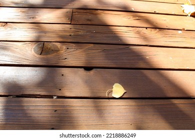 Wooden Deck Floor With Fall Leaf 