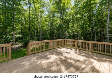 Wooden Deck Overlooking Dense Trees in Summer - Powered by Shutterstock