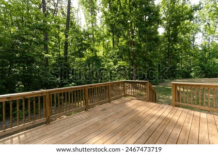 Wooden Deck Overlooking Dense Trees in Summer