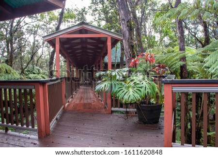 Wooden deck at a treehouse in Volcano, Hawaii surrounded by trees and ferns