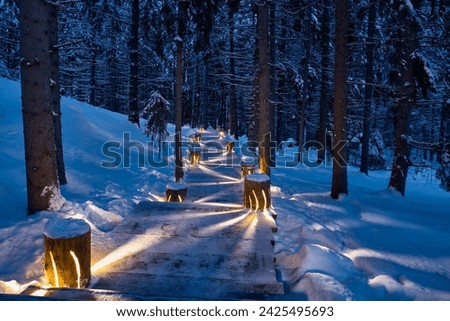 Wooden decking in the forest with beautiful lighting for climbing Mount Paasonvuori, Karelia. Convenient path in the forest for trekking.