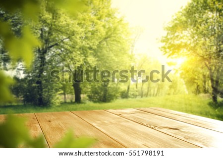 wooden desk of free space and spring time 