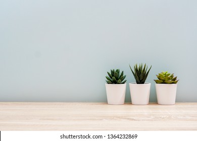 Wooden desk table top with tree pot on white wall, with copy space - Powered by Shutterstock