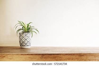 Wooden desk table top with tree pot on white wall, with copy space - Powered by Shutterstock