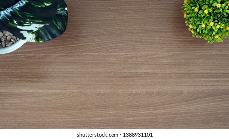 Wooden Desk With Two Plants Top Down View