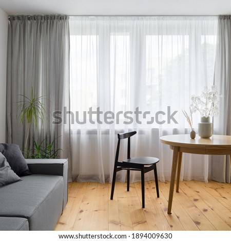 Similar – Image, Stock Photo Houseplants behind the curtain