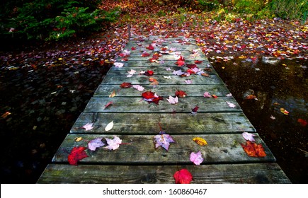 Wooden Dock With Chairs On Calm Fall Lake