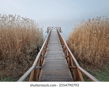 Wooden dock extending into a foggy lake, flanked by tall, dry reeds. Serene and atmospheric scene with the mist creating a sense of calm and mystery - Powered by Shutterstock