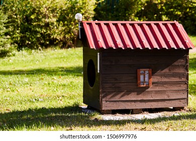 Wooden Doghouse With Red Roof And Shadow In Green Grass 