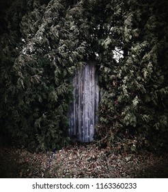 Wooden Door Hidden In Bushes.