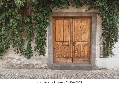 Wooden door overgrown with ivy
