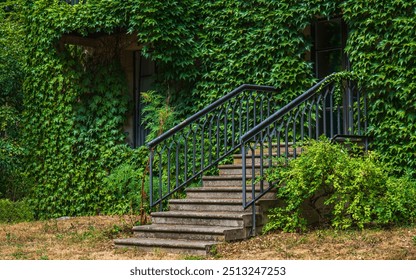 Wooden door overgrown with ivy, front of house, exterior wall of house overgrown with ivy. old steps in front of house.  - Powered by Shutterstock