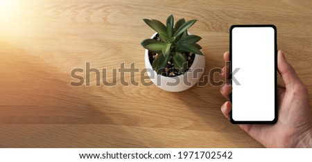 Wooden eco banner with mobile phone screen for mock up in male hand and green house plant in pot. App on smartphone ad.