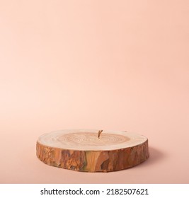 Wooden eco rustic pine tree wood circle disc platform podium on beige background. Minimal empty display product presentation scene. Two rings, two tiers of podiums.