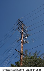 Wooden electricity pylon with trees around and blu sky above