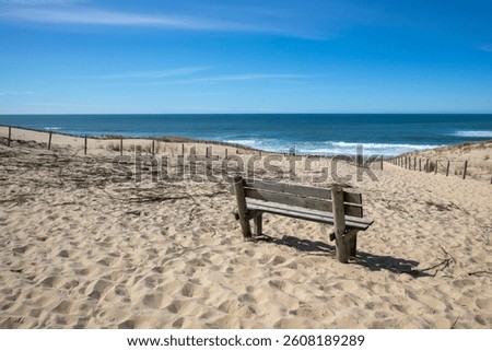 wooden empty bench alone on coast beach front atlantic ocean seaside arcachon bay sea