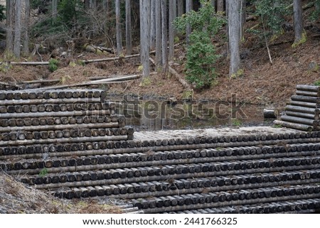 Wooden erosion control dam photo