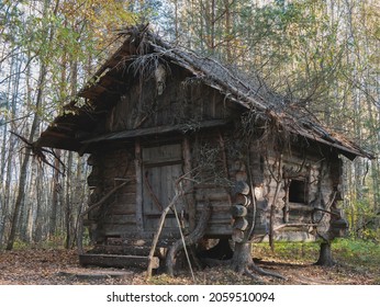 Wooden fabulous house with moose skull above the entrance. Little cottage in the darkest depths of the forest. Abandoned hut in the godforsaken place