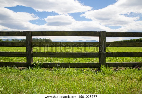 A wooden\
farm fence divides up grassy farm fields in Canterbury, New\
Zealand. A blue sky and white clouds spring\
day