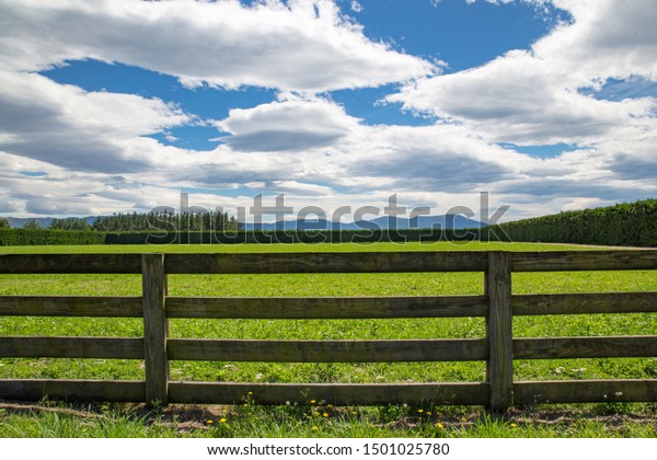 A wooden\
farm fence divides up grassy farm fields in Canterbury, New\
Zealand. A blue sky and white clouds spring\
day