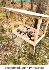 Wooden Feeder For Birds And Animals, Filled With Seeds, Nuts, Bread, Cereals. Animal Care. Made With Your Own Hands From Eco-friendly Biodegradable Materials. Reuse Of Food Waste.