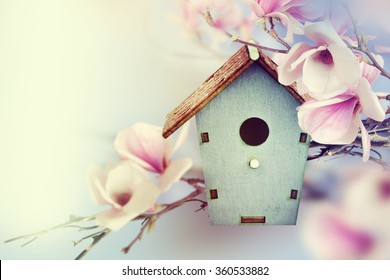 Wooden feeder at the magnolia tree. Spring background.
 - Powered by Shutterstock